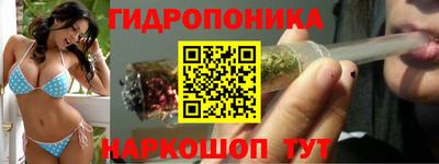 кокс Канаш