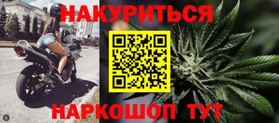 гашик Кандалакша